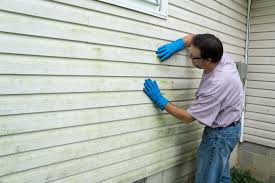 Best Vinyl Siding Installation  in Holly Lake Ranch, TX